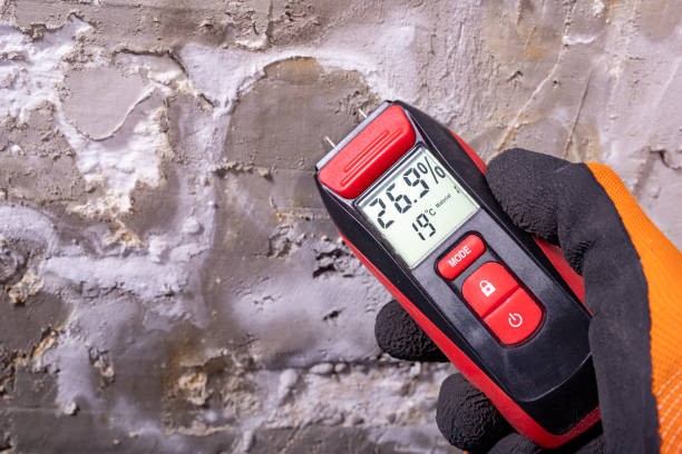 Best Insurance-Related Mold Remediation in Jonesborough, TN